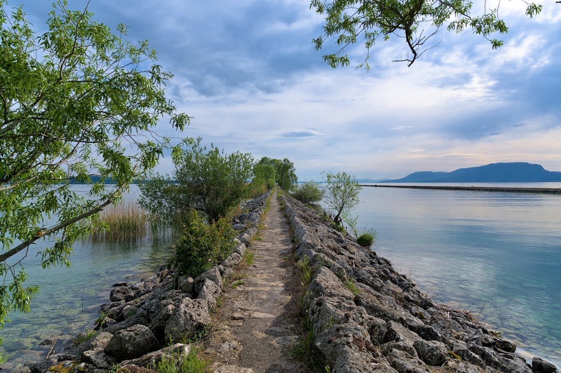 Tröstende Blumen als Symbol für unsere einfühlsamen Bestattungsleistungen